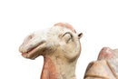 A White Pottery Tang Camel
