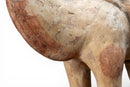 A White Pottery Tang Camel
