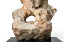 A Scholar’s Rock (Gongshi)