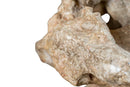 A Scholar’s Rock (Gongshi)
