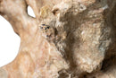 A Scholar’s Rock (Gongshi)