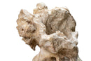A Scholar’s Rock (Gongshi)