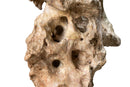 A Scholar’s Rock (Gongshi)
