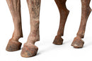A Painted Equestrian Figure
