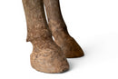 A Large Painted Pottery Equestrian Figure