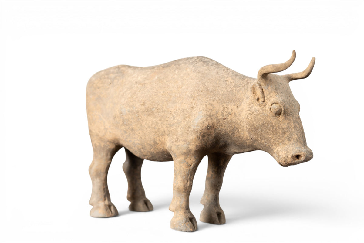 A Terracotta Figure of an Ox