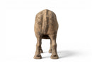 A Terracotta Figure of an Ox