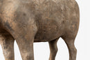 A Terracotta Figure of an Ox