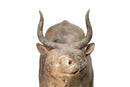 A Terracotta Figure of an Ox