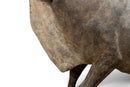A Terracotta Figure of an Ox