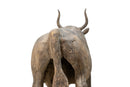 A Terracotta Figure of an Ox