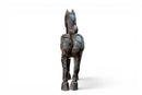 A Han Dynasty Wooden Horse