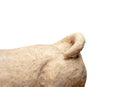 A Figure of a Recumbent Dog
