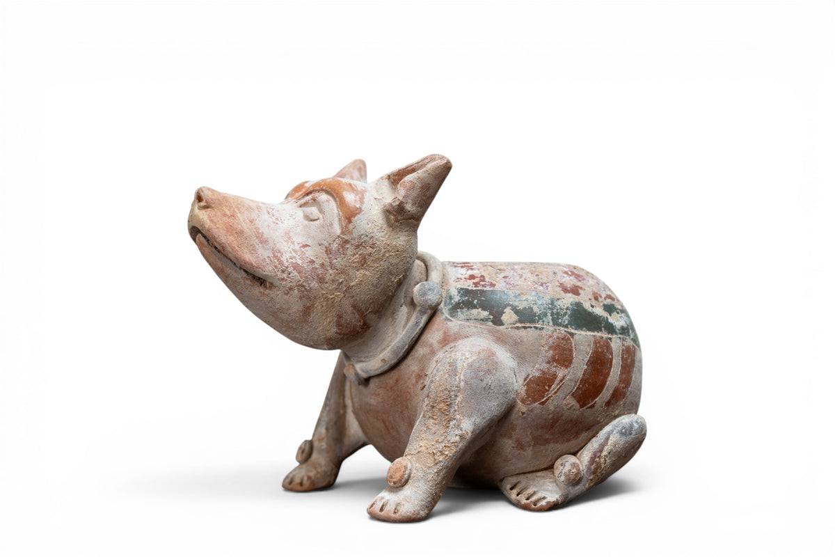 A Terracotta Dog