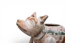 A Terracotta Dog