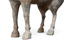 A Set of Han Dynasty Terracotta Horse and Groom
