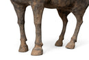 A Set of Han Dynasty Terracotta Horse and Grooms