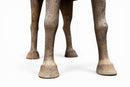 A Chinese Terracotta Horse and Rider