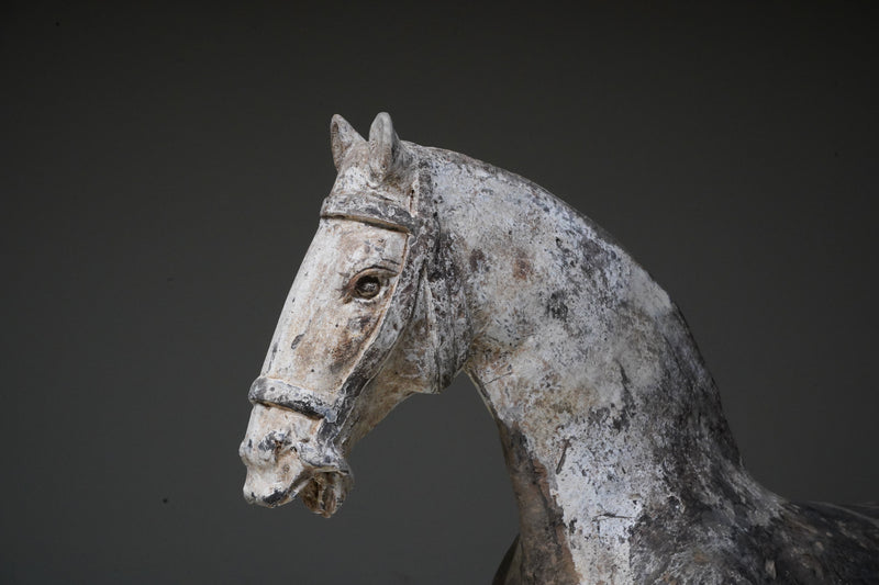 A Pair of Tang Dynasty Pottery Horses