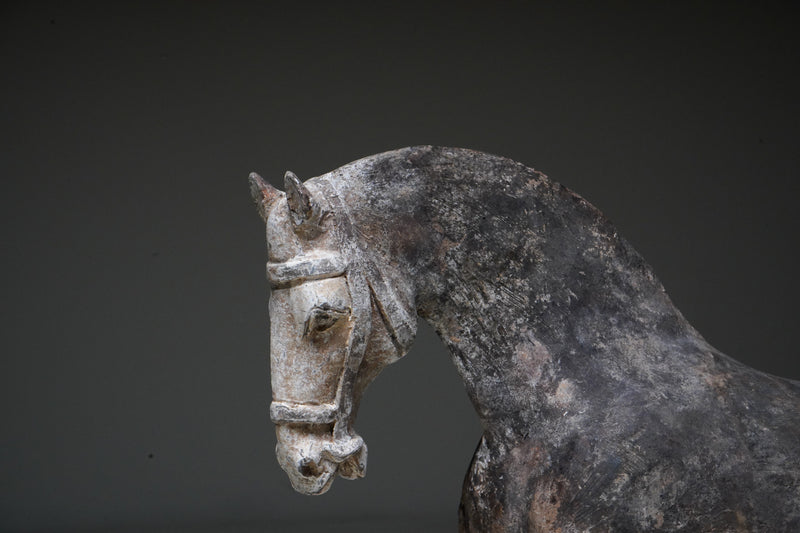 A Pair of Tang Dynasty Pottery Horses