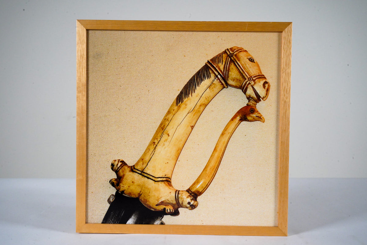 Framed Print of Horse and Bird