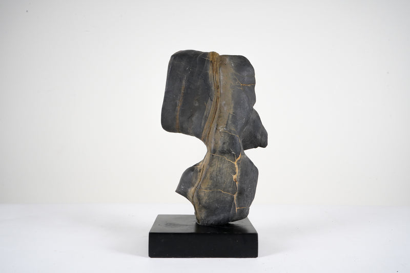 A Chinese Scholar's Rock