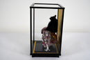 A Japanese Doll With Display