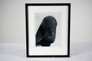 A Photo of a Stone Horse