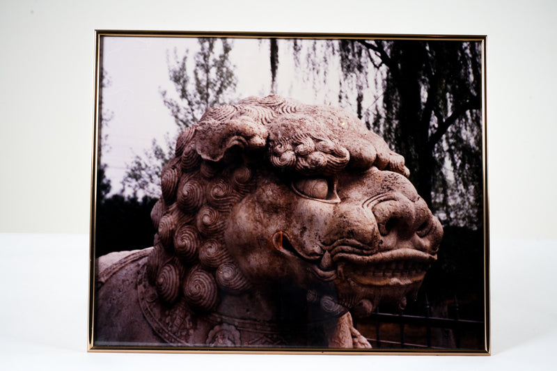 A Photo of a Chinese Fu Lion