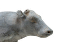 A Terracotta Figure of a Bull