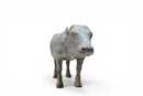 A Terracotta Figure of a Bull