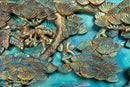 A Chinese Gilt Fretwork Panel