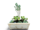 A Marble Lotus Planter