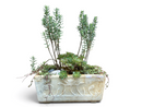 A Marble Lotus Planter