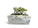 A Marble Lotus Planter