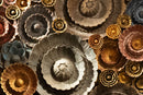 A Lotus Flowers Wall in Monumental Italian Frame