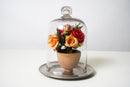 Glass Food Cover