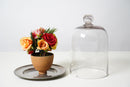 Glass Food Cover