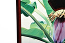 Oil Painting of a Banana Tree in Blossom