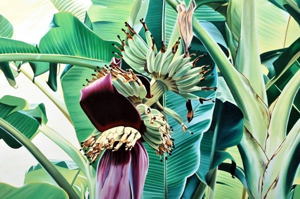 Oil Painting of a Banana Tree in Blossom