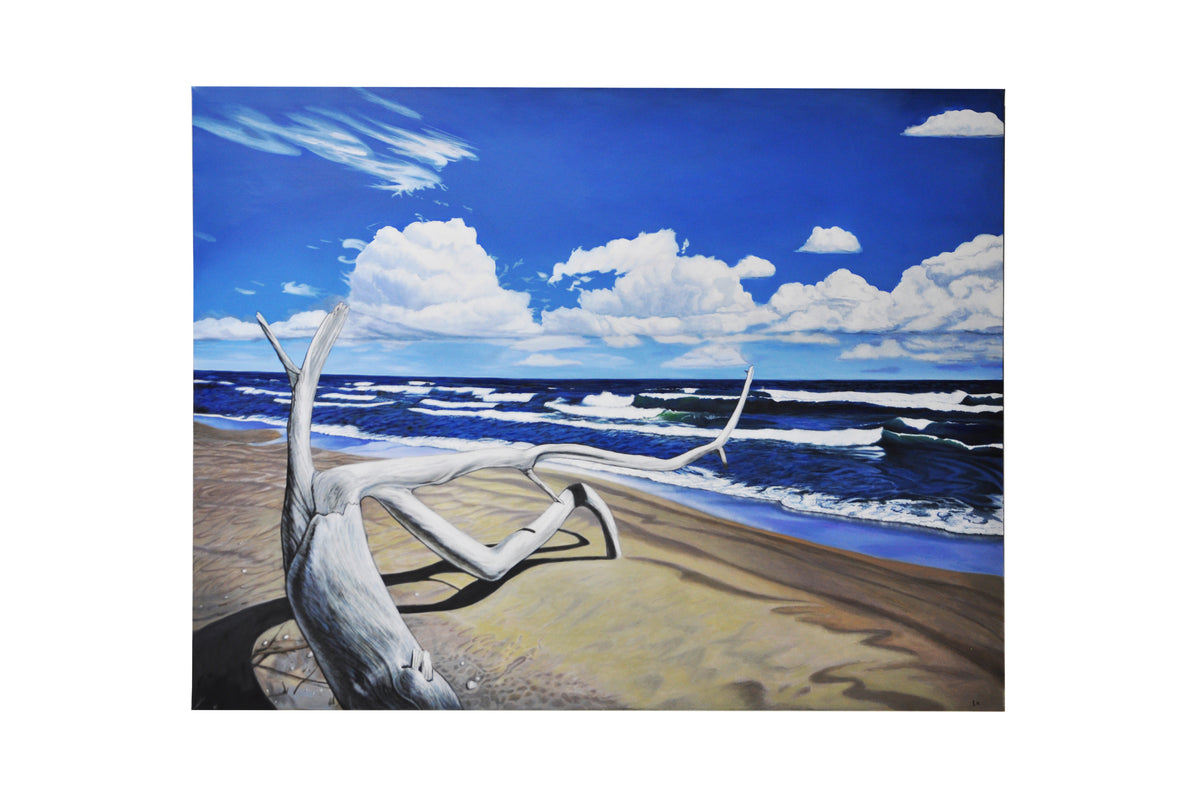 "Driftwood Miller Beach" | by Andrew Ek