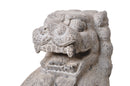 A Pair of Carved Stone Fu dogs